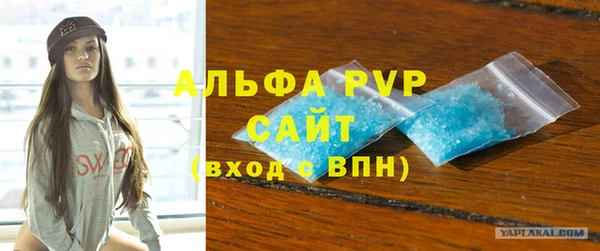 индика Заволжск