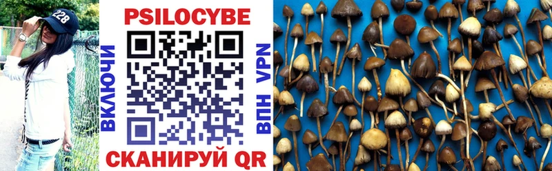 blacksprut ссылки  закладка  Кольчугино  Псилоцибиновые грибы MAGIC MUSHROOMS 
